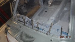 240206 Shelby Mustang (5).JPG